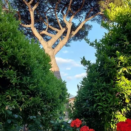 Lejlighed Daddy House San Giorgio a Cremano